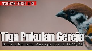 Masteran Cendet suara Gereja Viral 2021