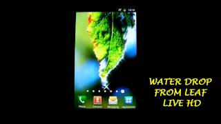 Water Drop From Leaf Live Wallpaper HD screenshot 5