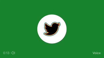 How to use Twitter voice note on IPhone