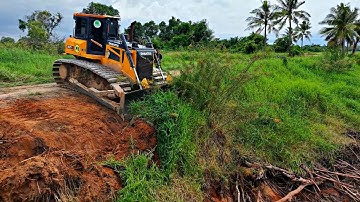AMAZING SKILLED DOZER OPERATOR EASILY BREAKS DOWN LARGE COCONUT TREES AND FILLS THE LAKE WITH SOIL