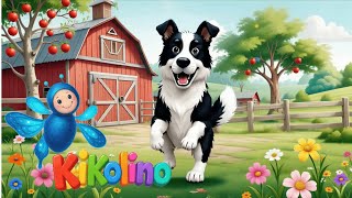 B - I - N - G - O Nursery Rhymes For Kids Kids Songs I Children Songs I Simple Songs