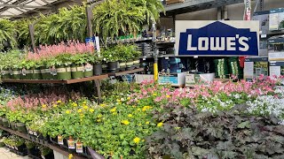 NEW Shade Perennial Arrivals at Lowes Garden Center