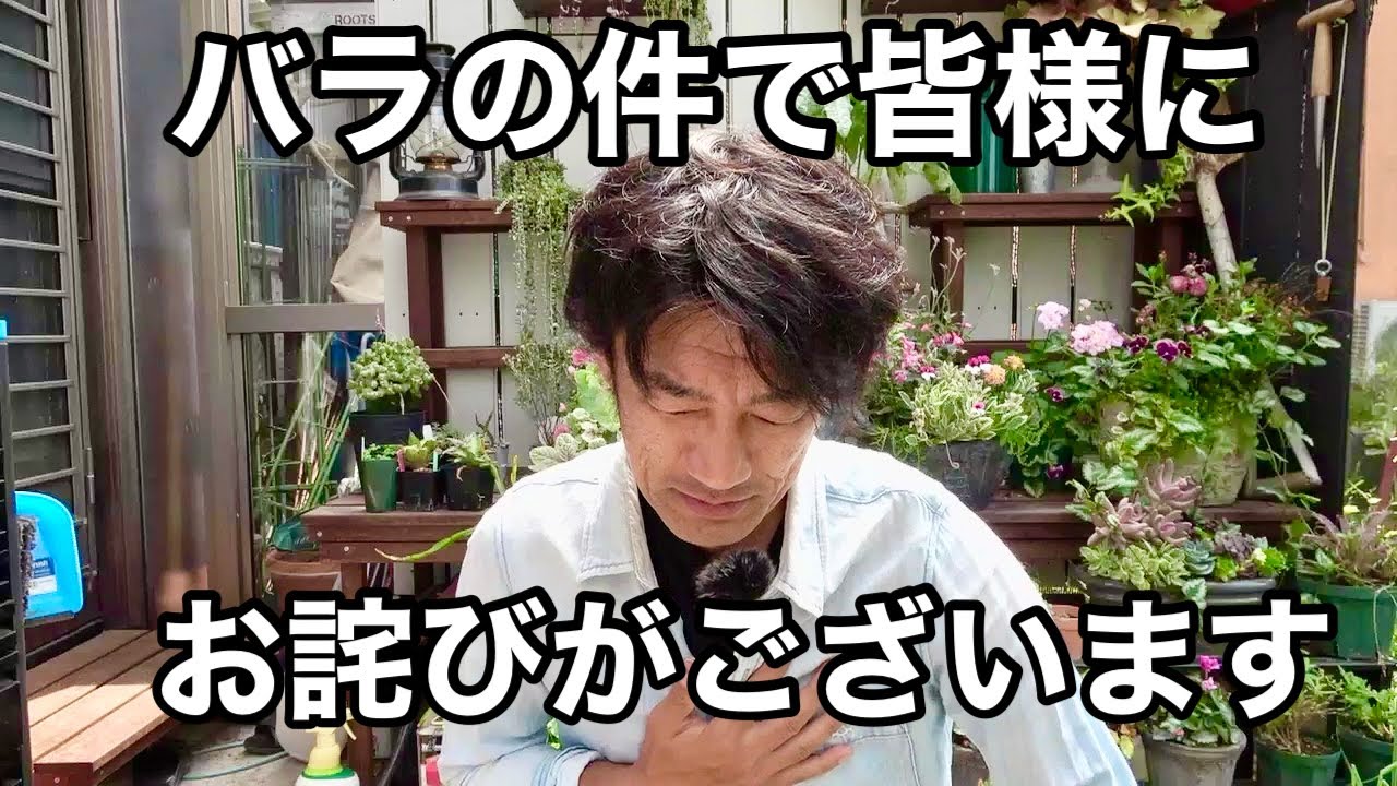 大変申し訳ないことをしてしまいました。。。【園芸超人カーメン君】
