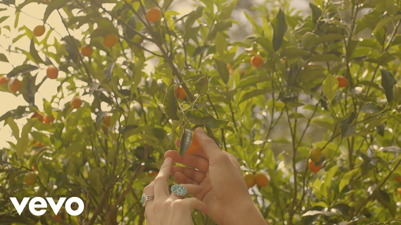 Watch Naomi Jane - Clementines (Official Video) on YouTube Watch Naomi Jane - Clementines (Official Video) on YouTube