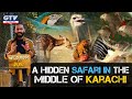 A Hidden Safari In The Middle of Karachi  I Wild Pets With Aun I Season 2 | 06 December 2020