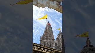 DWARKADHISH 🍁❤️‍🩹#dwarkadhish #dwarka#dwarkadhish_temple                 #kanudo #jaydwarkadhish