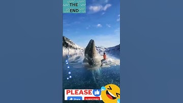 NEVER splash or run away from a shark 🦈😱 #shark #sharkbite #tigershark #sharkattack