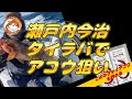 鯛ラバでビックアコウ確保 今治#アコラバ#タイラバ