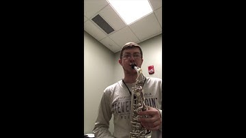 Spring auditing 2018-19