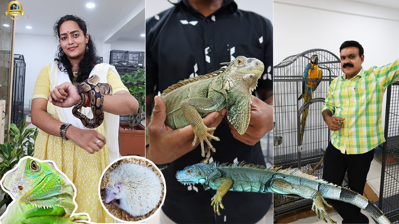 Zoo ആണോ അതോ Pet shop ഓ !The biggest exotic pets shop in kerala