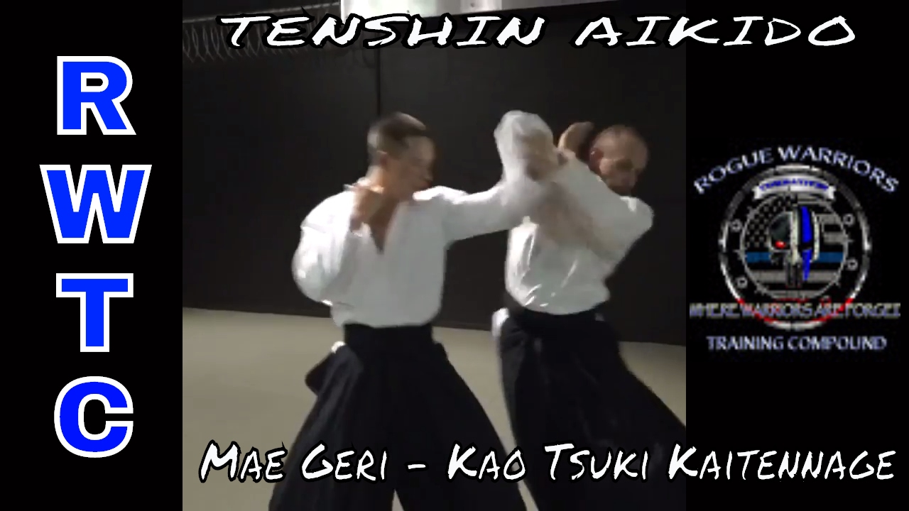 Rogue Warriors Aikido Rogue Warriors Aikido