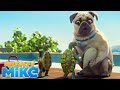 MIGHTY MIKE 🐶 Turtle Tips 🐢 A pug&#39;s life in 60sec