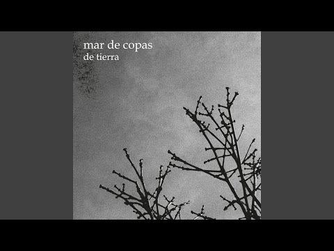 Watch the video for Vacío