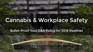 Legalized Cannabis & Workplace Safety: Bulletproof Your D&A Policy