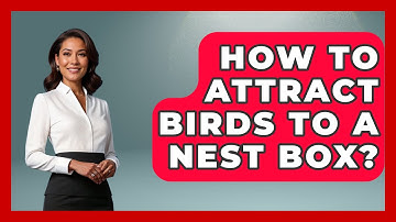 How To Attract Birds To A Nest Box? - Bird Watching Diaries