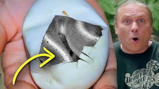 HATCHED ANOTHER SUPER LORI COMBO BALL PYTHON!! | BRIAN BARCZYK