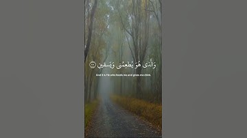 أرح سمعك 🥀القارئ: محمد هشام 🍃حالات واتس آب