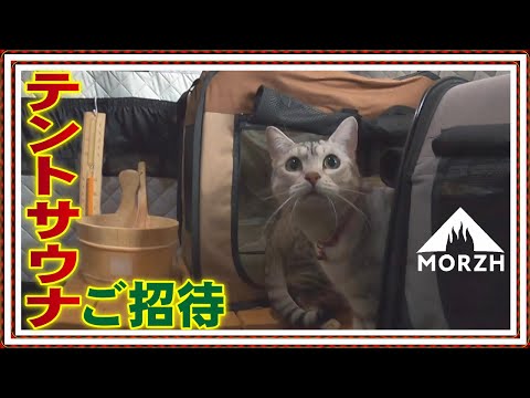 わいるどcatハウス