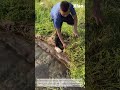 Fishing Under The Grass at Riverside: Amazing Fishing Adventure