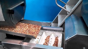 Multi Head Weigher for Peanut