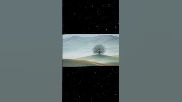 سورة لقمان|9-11|القارئ:#محمد_اللحيدان #قران #quran #راحة_نفسية #قران_كريم #تلاوة_هادئة #تلاوة_خاشعة