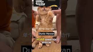 BOMBOM DAPAT SURAT UNDANGAN