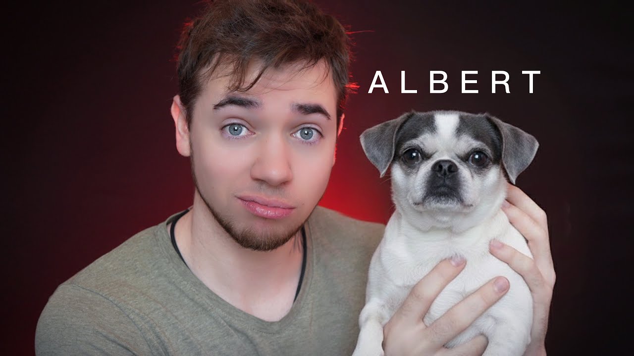 #ASMR : C'EST MOI J’AI VOLÉ ALBERT ….