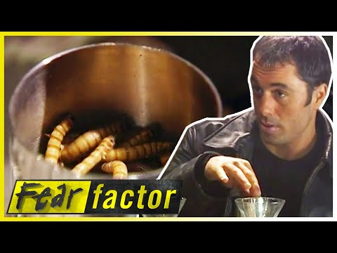 WORMtinis And Slimy Tunnel Crawls Fear Factor US S01 E04 Full Episodes Thrill Zone
