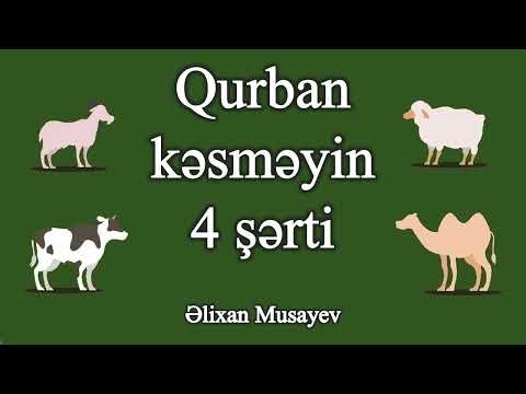Əlixan Musayev - Qurban kəsməyin 4 şərti
