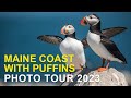 Maine puffin photo tour and workshop 2023 group two highlights