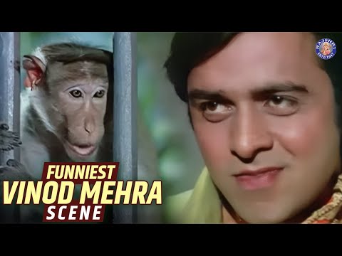 Vinod Mehra Funniest Scene | Do Phool | Mehmood | Ashok Kumar | Old Hindi Comedy Movie