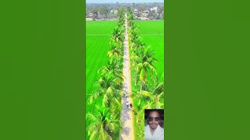 😢😢🤲🥀এই দোয়াটি পড়লে আল্লাহর সঙ্গে সঙ্গে মাফ করে দেয় #عبدالرحمن_مسعد_تلاوة_جديدة #duet #المصحف