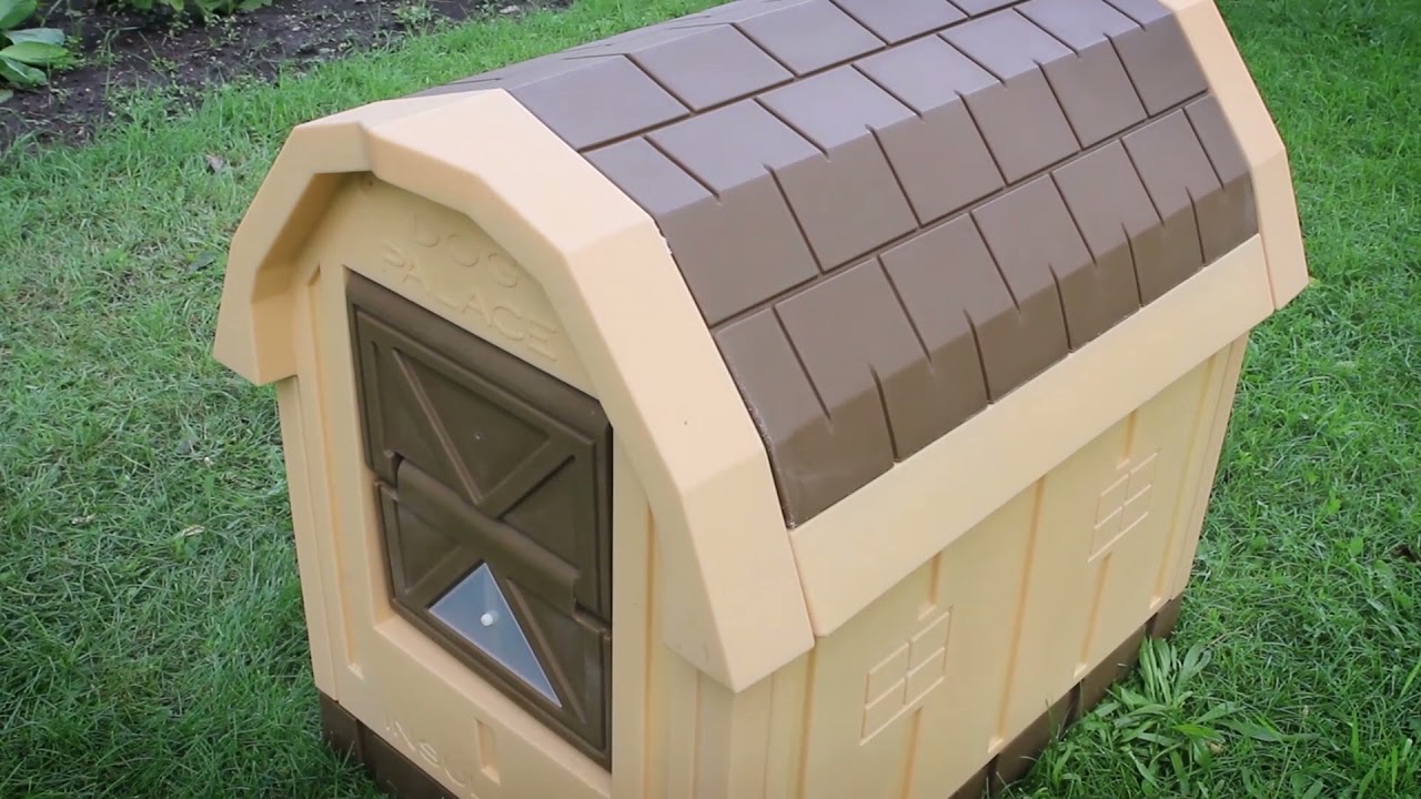 Insulation for Dog Houses