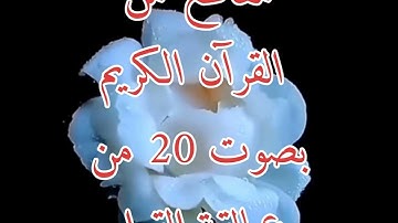 يُقلد 20 من عمالقة القراء كأنه استعار حناجرهم! القارئ حسين عبدالظاهر.