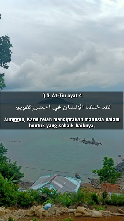 Quran Surah At-Tin ayat 4. #shorts