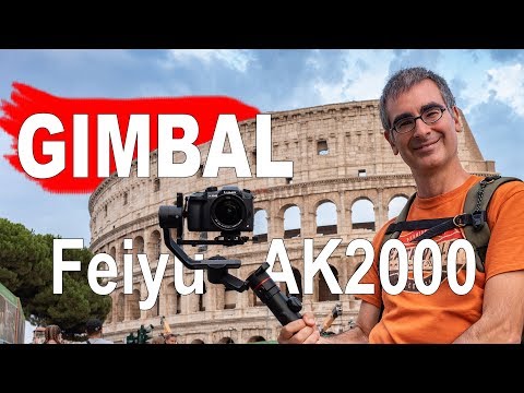 Video: Stabilizzatori Per Fotocamera (20 Foto): Gimbal DSLR, Stabilizzatori Palmari, Elettronici E A Tre Assi Per Le Riprese