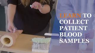 Learn to be a Phlebotomist at Labouré