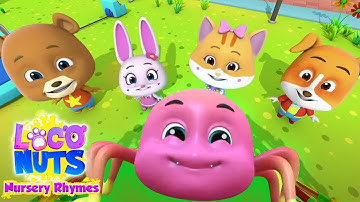 🎶Incy Wincy Spider and Bugs Bugs Bugs |Kids Songs and Nursery Rhymes [ Just Fun ] - Loco Nuts Rhymes