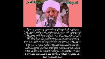 الشيخ الزين محمد أحمد- سورة النحل