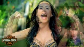 Every Morning I Roar - Katy Perry, Sugar Ray Mashup