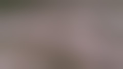 Love my Job 2, trapping bobcats, coyotes, raccoons as a trapper