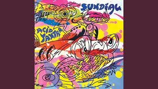 Rollercoaster (Remastered)