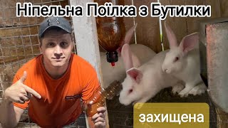 НІПЕЛЬНА ПОЇЛКА для КРОЛІВ з ПЕТ ПЛЯШКИ за 2 хв