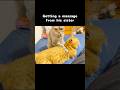 This Cat Is Getting a Massage from His Sister