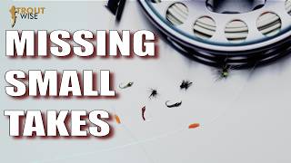 TROUTWISE TACTICS: Missing Small Takes