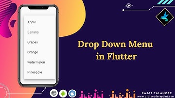 Flutter Drop Down menu Example - Drop Down In Flutter