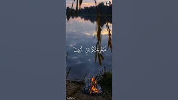 وَمَا لَنَآ أَلَّا نَتَوَكَّلَ عَلَى ٱللَّهِ  - إسلام صبحي [ سورة إبراهيم,١٢-١٤ ]