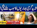 Extreme Heat Is Causing Serious Diseases! | 12PM News Headlines | 6 Jun 2026 | City 41