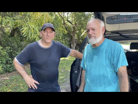 How To Get Tons of Mangos For Free!