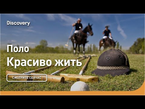 Поло | Красиво жить | Discovery